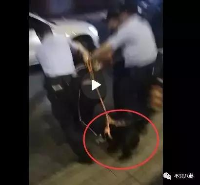 放狗咬人、脏话还打孕妇？以甜美著称且百万粉丝的她竟有两张面孔