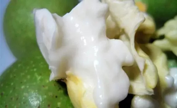 此物号称植物界的唐僧肉！补大脑，益心脏还能缓解失眠！