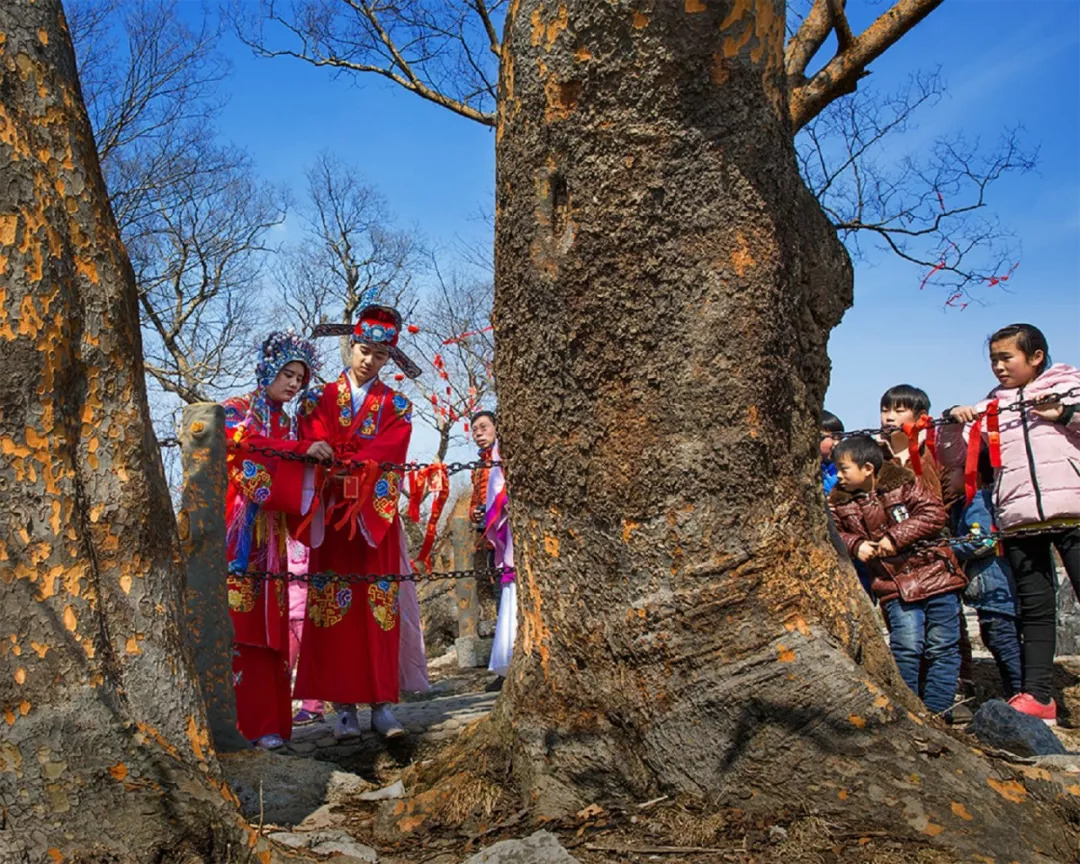 青龙峡旅游专线怎么买票,青龙峡旅游专线预订电话