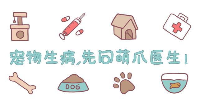 谁说只有猫爱干净？狗子不服！