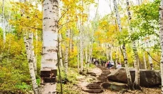 赏秋必去的十个地方地图,北京赏秋十大打卡地