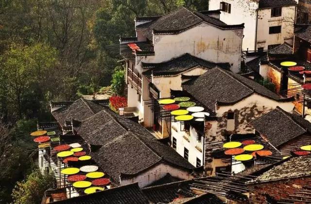 婺源的秋天真美,秋天的婺源什么时候去最美