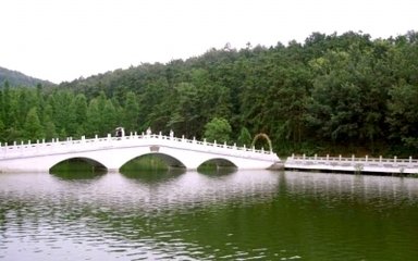 武汉春游一日游攻略,武汉最强春游攻略在此