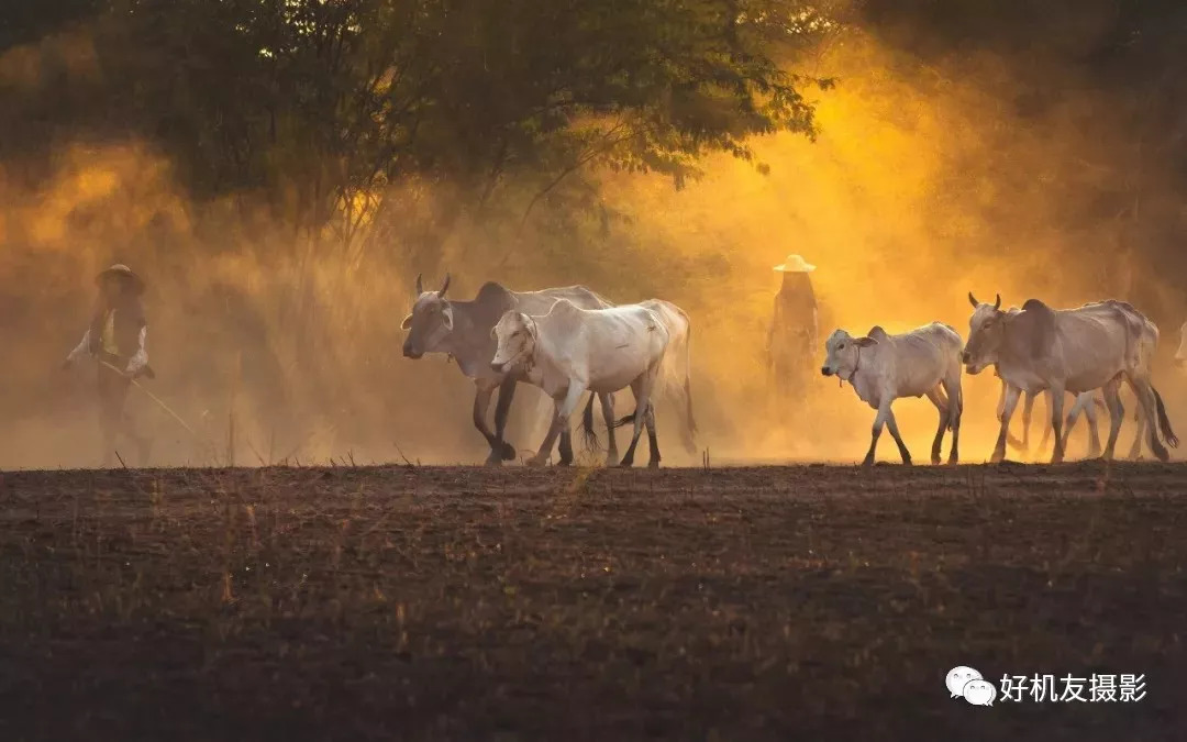 风光摄影师必备偏振镜,拍风光是用偏振镜还是nd镜