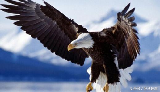 听故事学数学音频,听数学故事培养数学思维