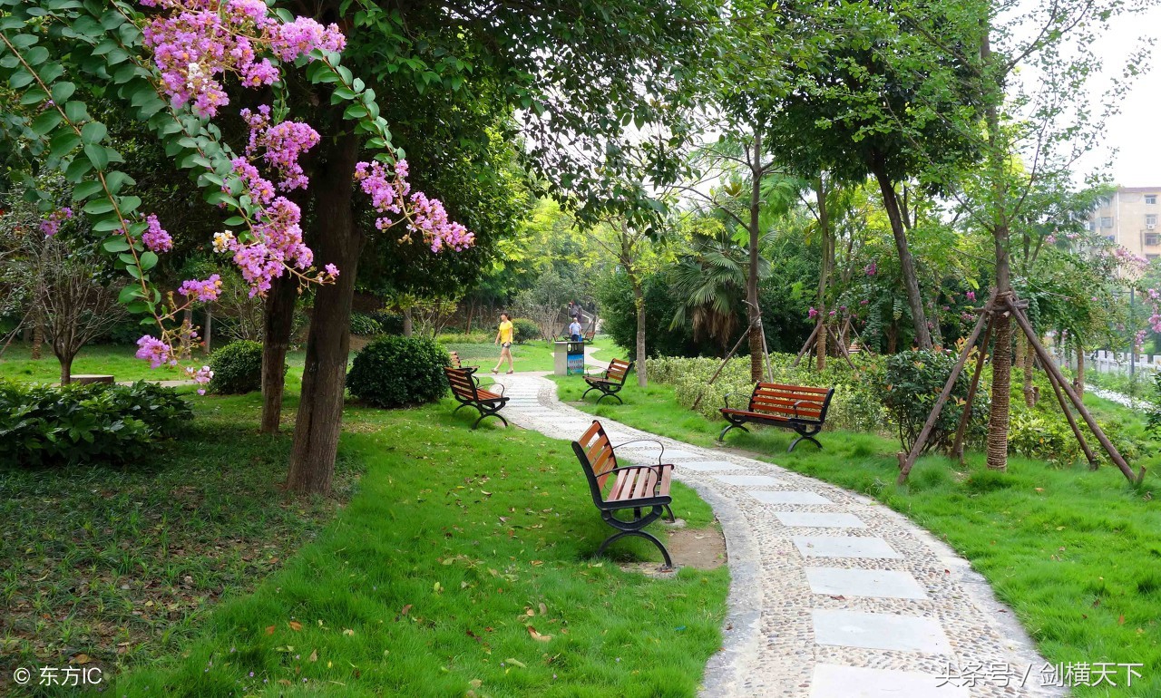 白云湖公园徒步,白云湖公园攻略最近