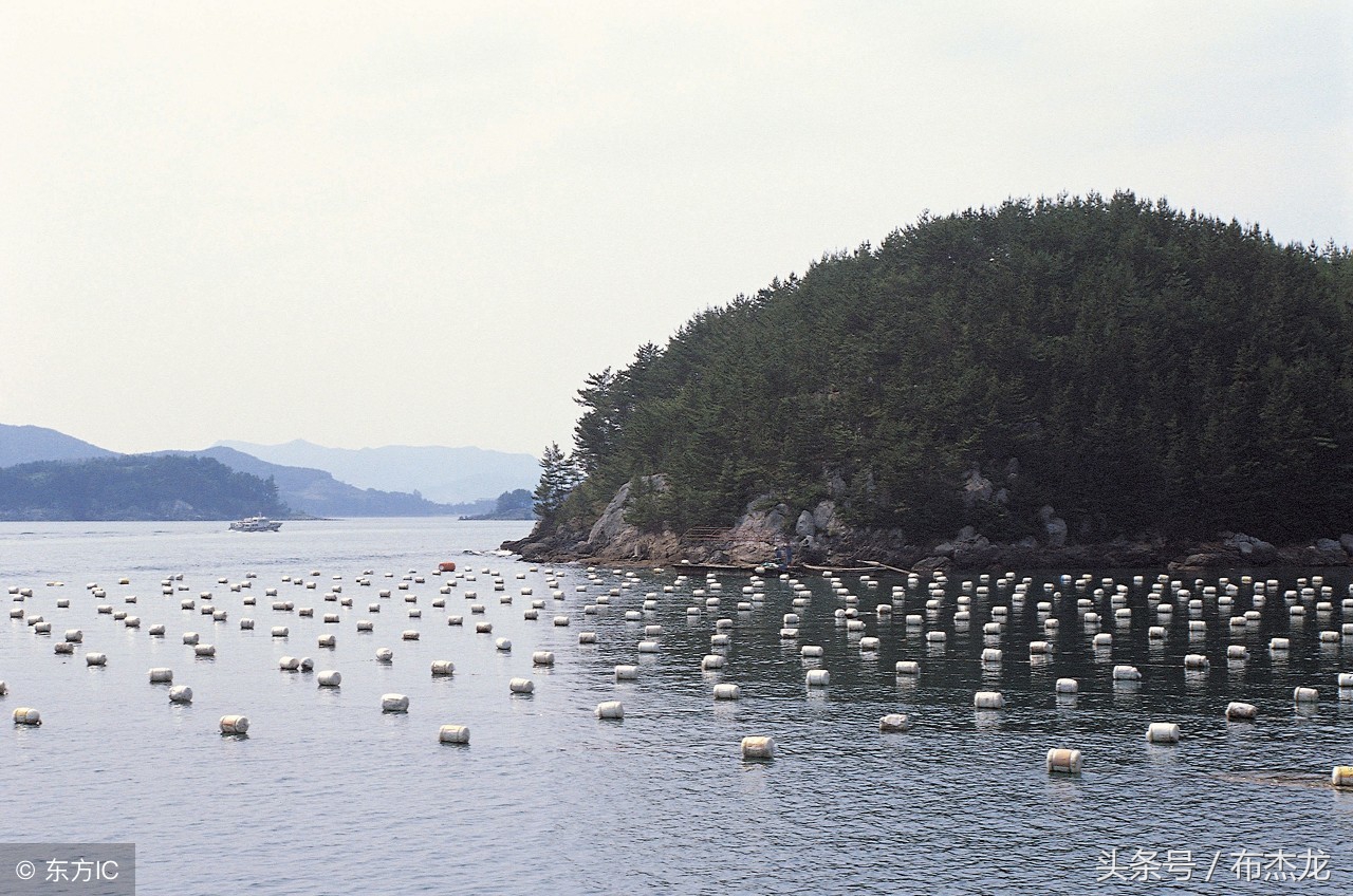 风水峦头断事大全,风水峦头断吉凶
