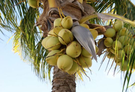 地球上最美的12个地方,公认地球最美的地方是哪里