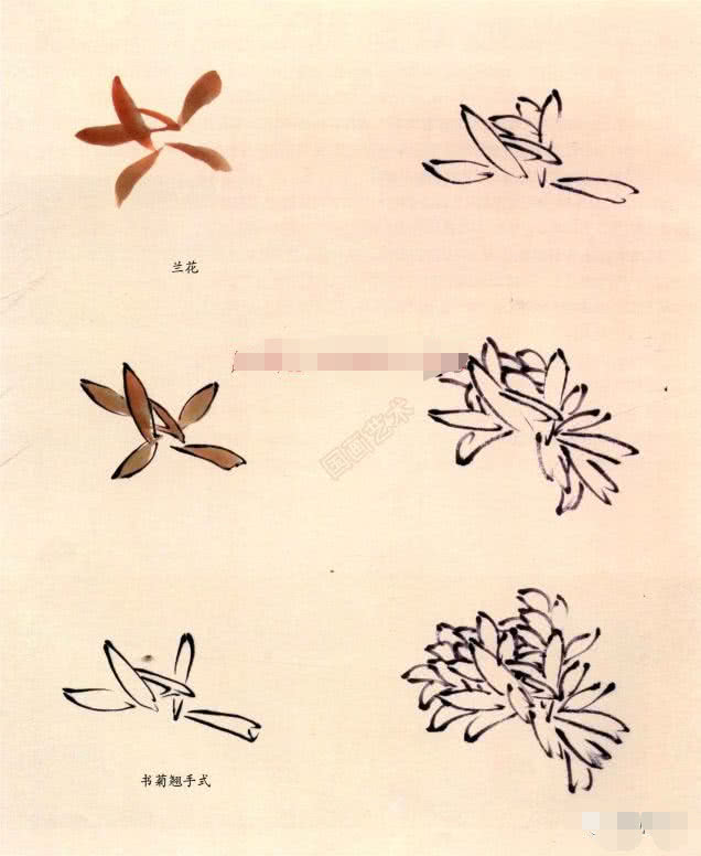 写意菊花画法笔法清晰一看就会,写意菊花的画法步骤图