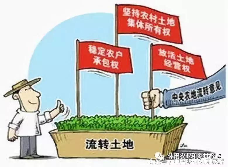 以前的大棚房现在怎么处理,大棚房拆除原因