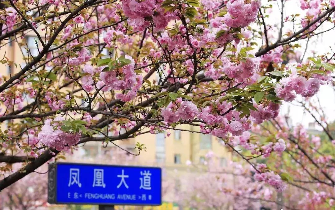 四川被忽略的景点,成都邛崃藏在深山中的世外桃源