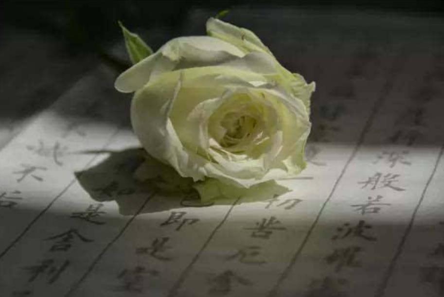 做人要知恩图报要珍惜亲情,知恩图报懂得感恩就是福报