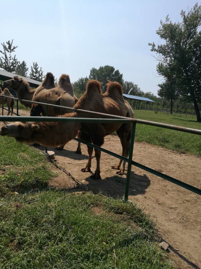 寻秦记旅游,寻秦记自驾旅游