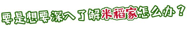 超市大米有必要买吗,是不是要盲目购买大米