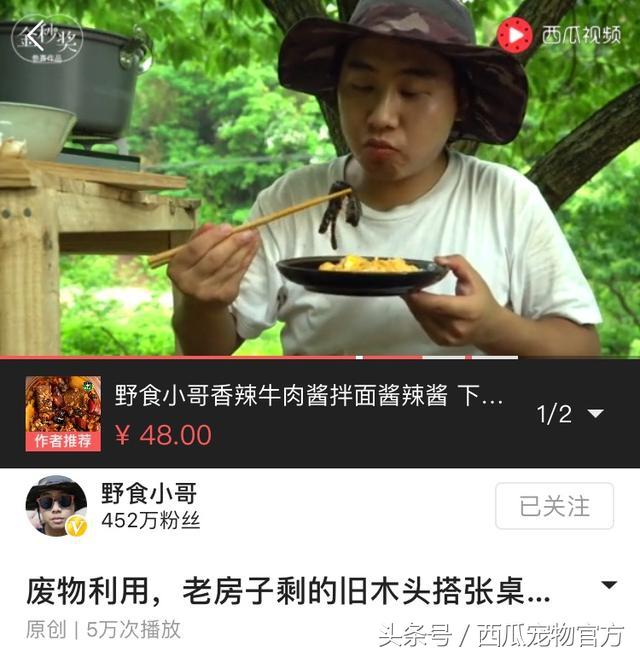 生活视频创作者,生活领域视频创作者收入