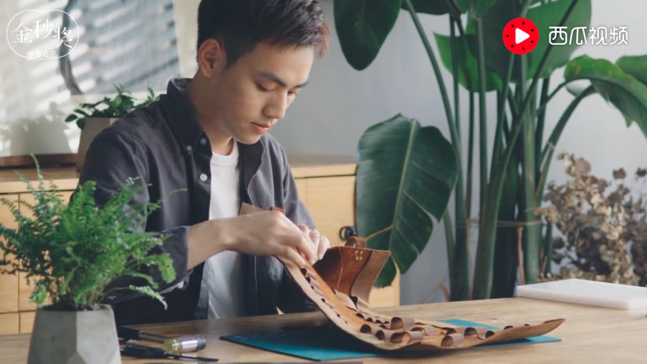 生活视频创作者,生活领域视频创作者收入