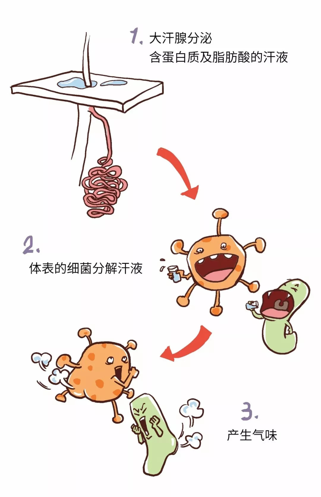 你身上散发的是体香还是狐臭,如何区分体香和狐臭