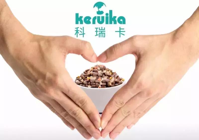 猫咪长猫癣怎么办？「科瑞卡育宠」