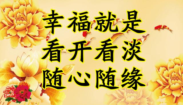 会动的图片一览表,会动的图片完整版