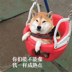 紫轩子轩梓萱打架原版,紫萱紫轩名字怎么样