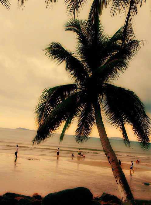 三亚自由行攻略四天三晚,三亚四天三晚自由行攻略最新