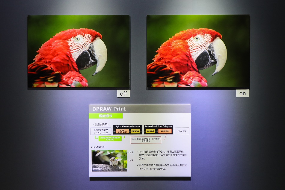 影像专业视频教学,专业摄影照片打印