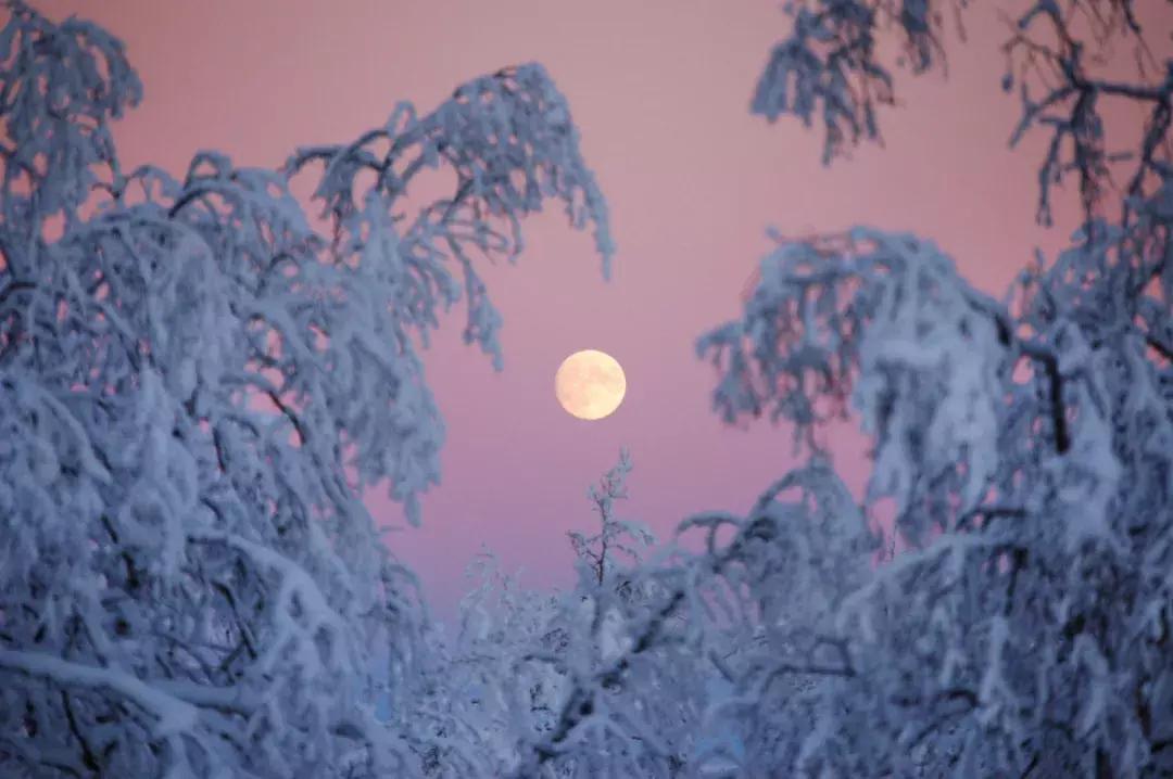 小木屋，玻璃顶，火山温泉，住这些酒店，get最cool极光姿势