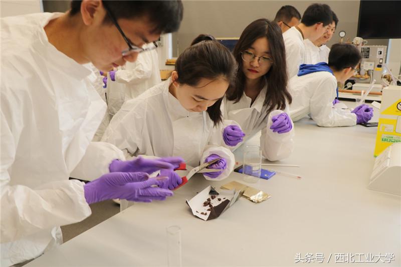 西工大玛丽女王学院毕业,西工大玛丽女王大学