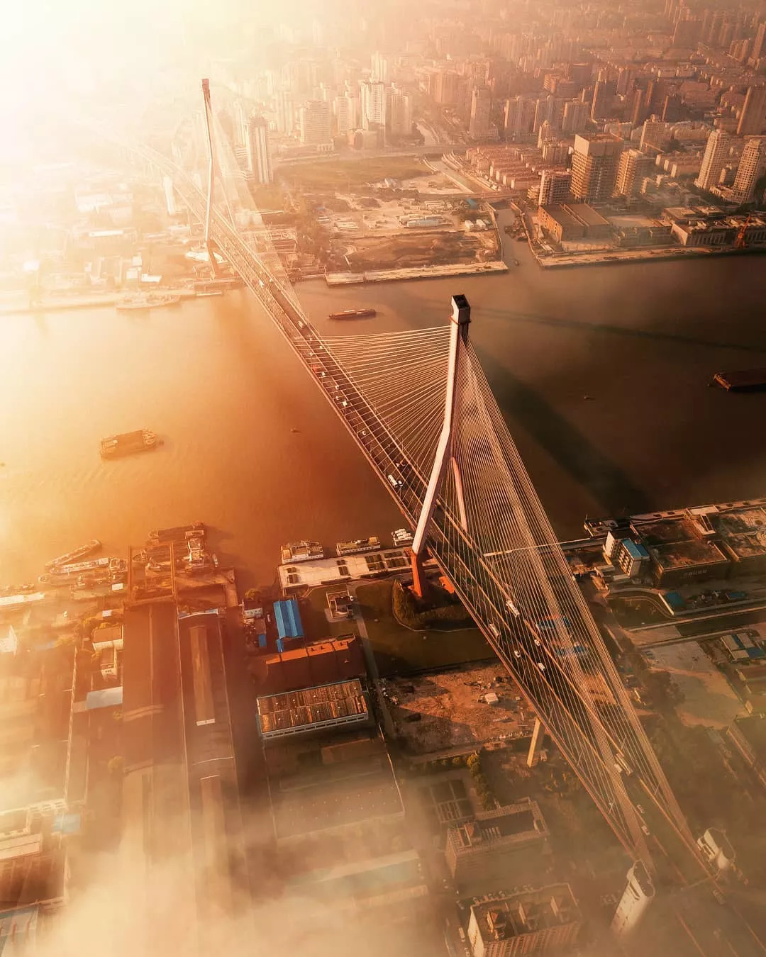 上海大量美照曝光,上海惊艳视频