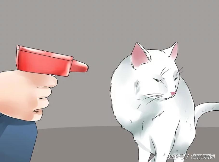 怎样锻炼猫咪使用猫砂盆,怎样训练猫咪用猫砂盆