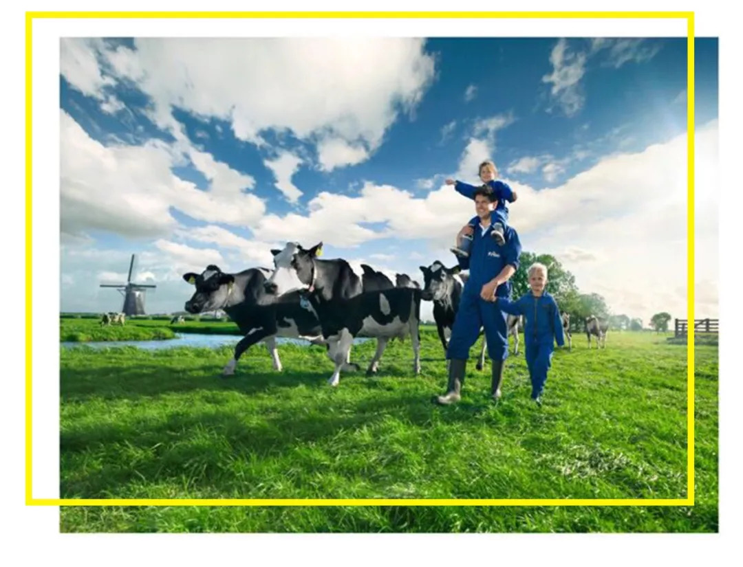 中秋送爸妈贴心礼物,中秋团圆送喜多多