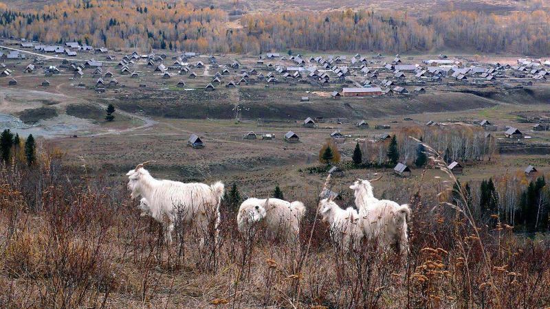 北疆环线10日游最新,北疆环线10日游旅游团