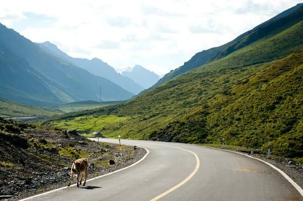 北疆环线10日游最新,北疆环线10日游旅游团