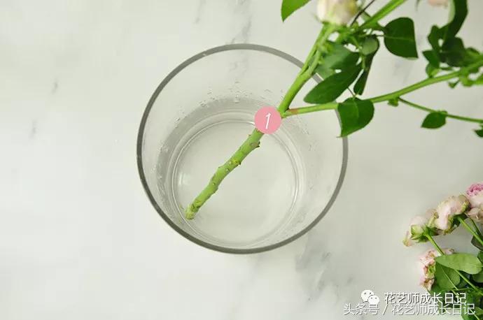 想当花艺师怎么自学,如何成为一个花艺师