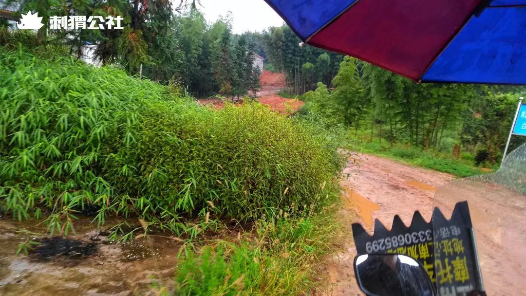 乡村小夫妻做自媒体9个月挣了12万,农民做自媒体真实收入