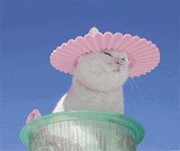 再来一波抗衰科普,你是不是对面部抗衰有什么误解