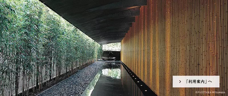 日本东京游记,日本东京游记day8