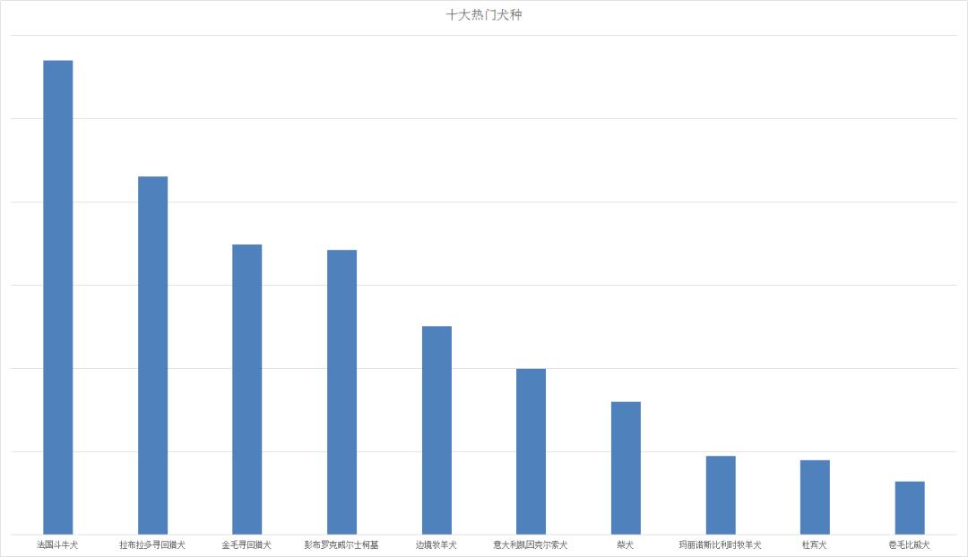独家｜北上广青睐法牛，二线城市爱养金毛