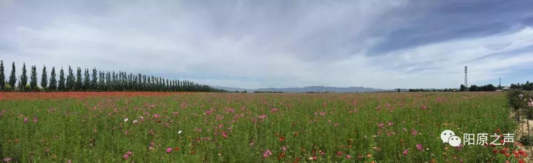 在阳原能做到什么,阳原旅游攻略自由行