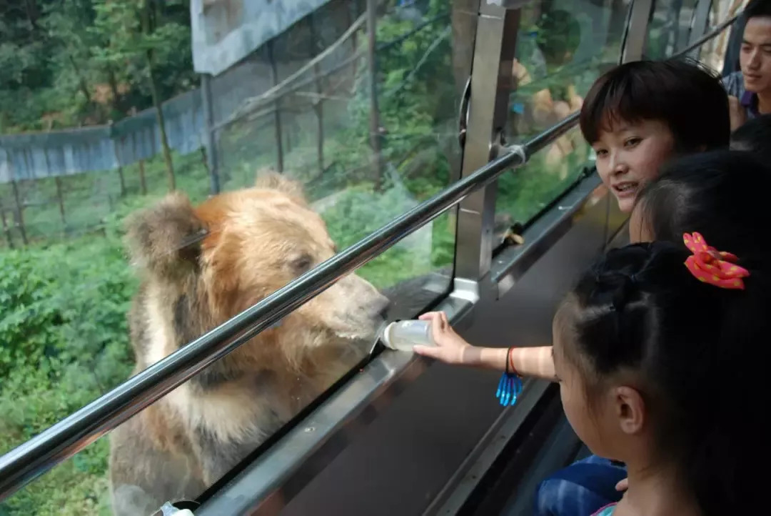 彭山景区免费政策,优待证去庐山景点全部免费吗