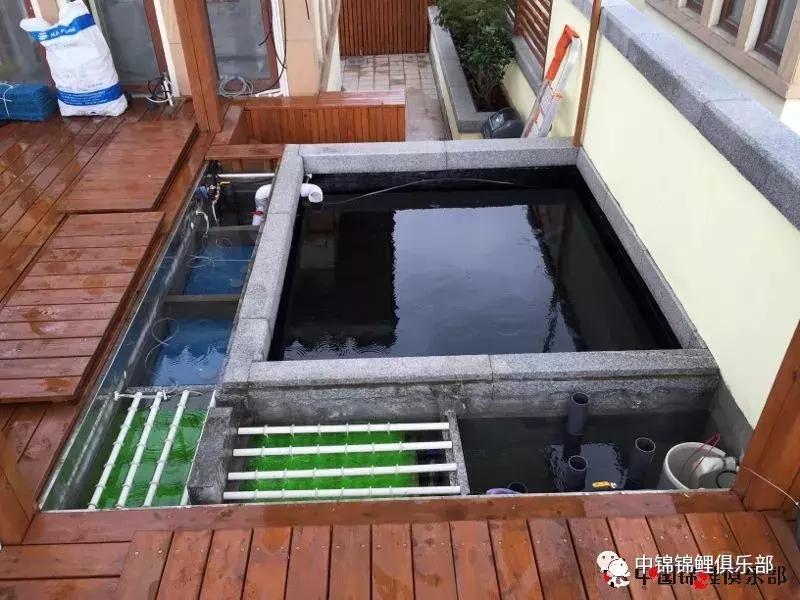 楼顶鱼池有哪些,屋顶鱼池的建造方法