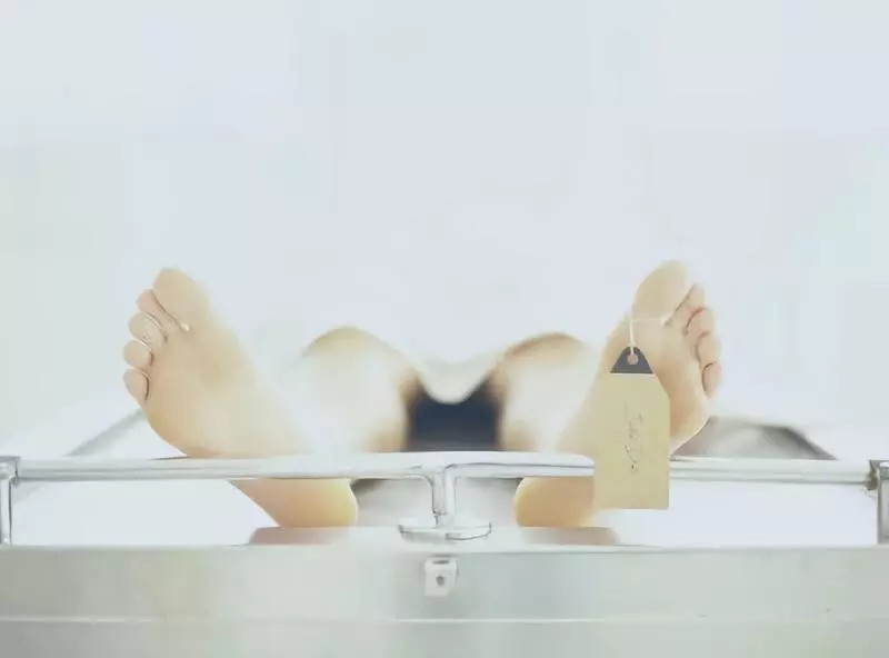 女生玩真心话大冒险输了就跳河,真心话大冒险跳河后续