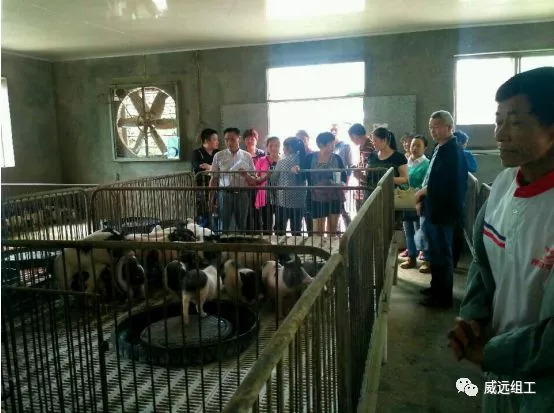 猪肉里的“名门贵族”，你吃过吗？威远这个村就有