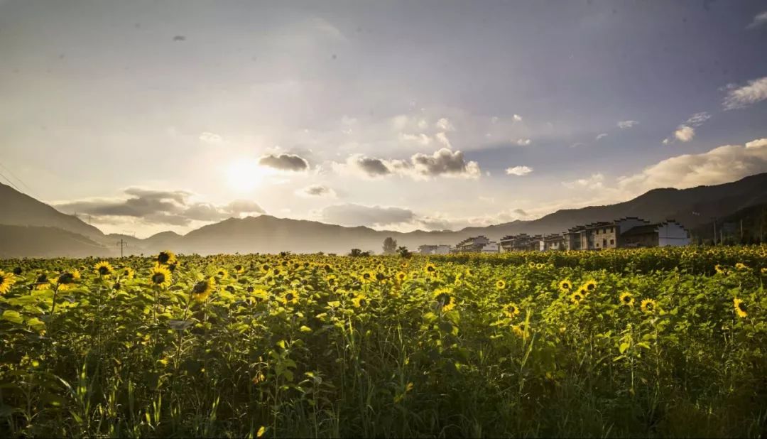 鍏ㄥ煄娌歌吘姹曞ご,鍏ㄥ煄娌歌吘