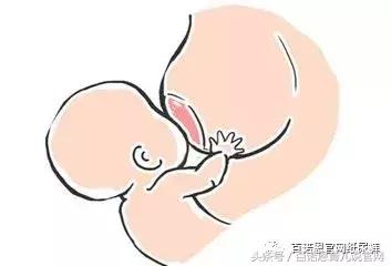 急性乳腺炎挂青霉素多久可以哺乳,哺乳的母兔得了急性乳腺炎怎么办