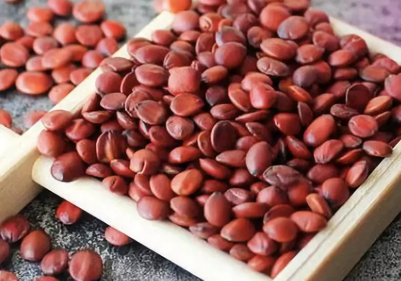 睡不着觉酸枣仁膏,睡不着觉可以试试冥想