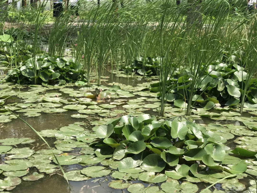 下站该往哪里去,下站了该去哪