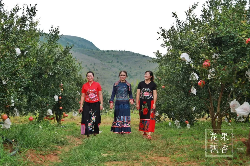 石榴界的网红软籽石榴,今日水果软籽石榴