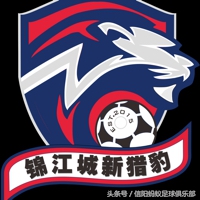 信阳蚂蚁足球比赛视频,河南信阳蚂蚁足球俱乐部