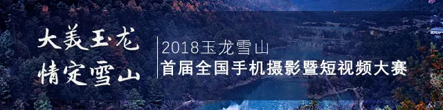 云南飞虎,云南丽江飞虎战绩